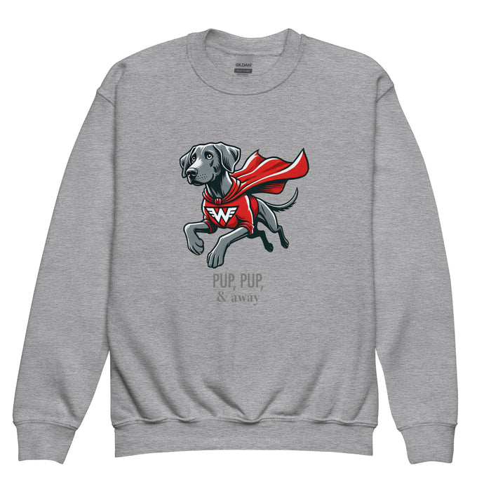 Superhero Youth Sweatshirt