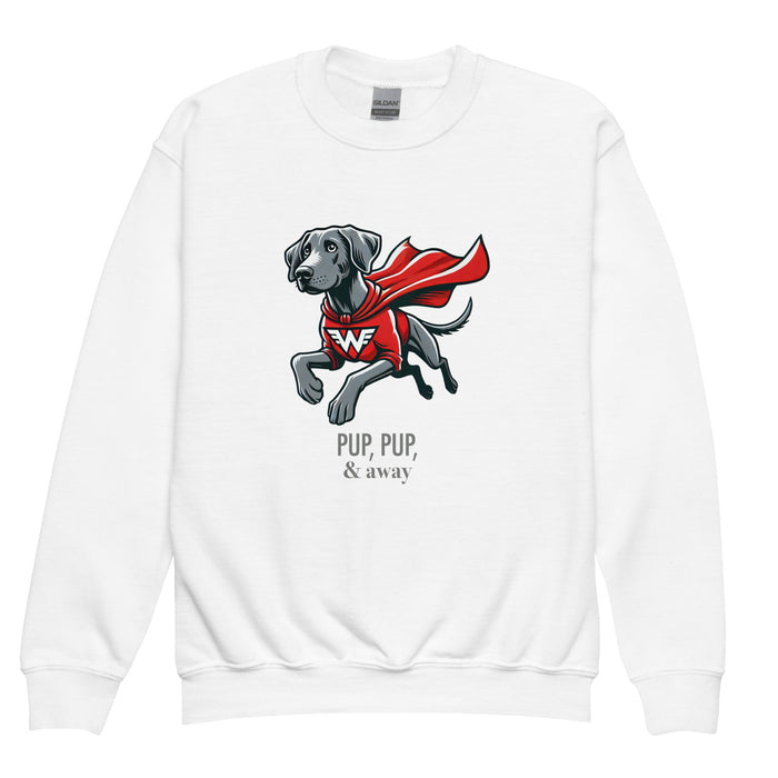 Superhero Youth Sweatshirt