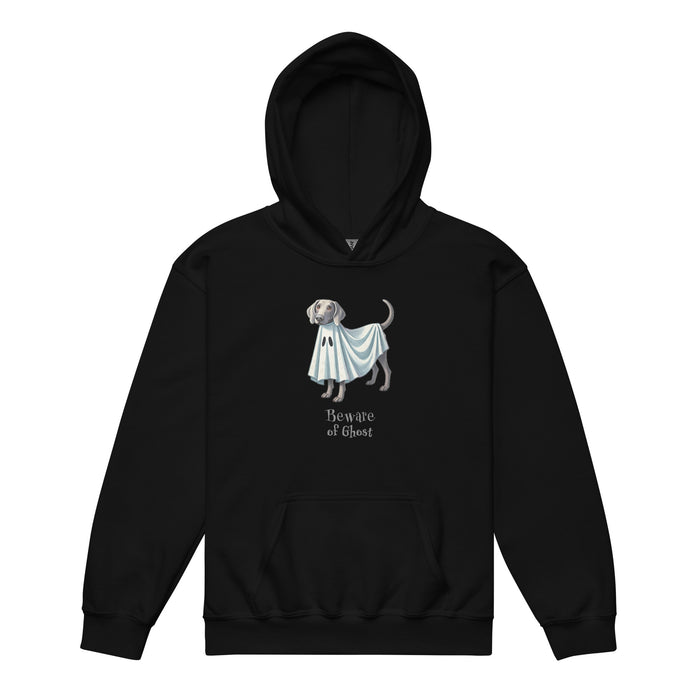 Weim Ghost Youth Hoodie