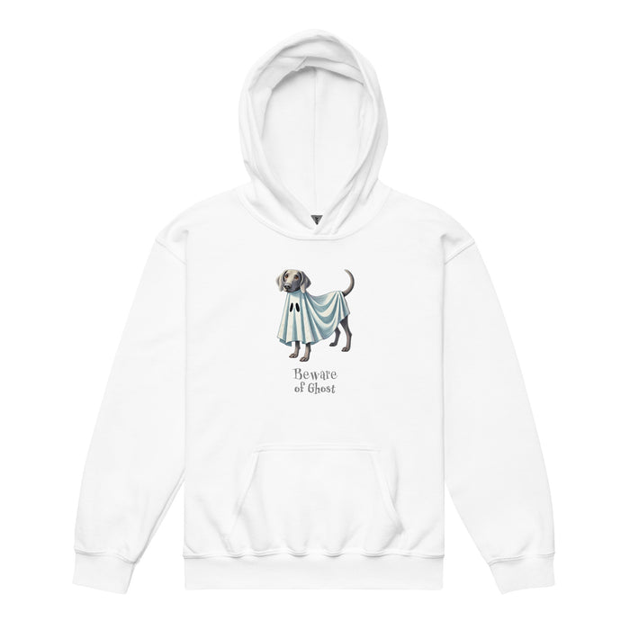 Weim Ghost Youth Hoodie